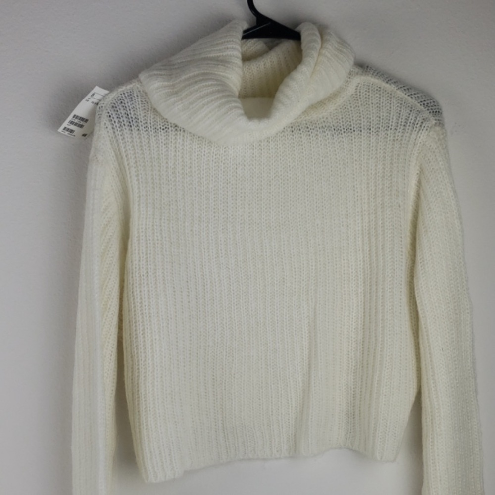 H&M Cropped Turtleneck Sweater